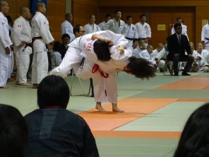 DSC03313