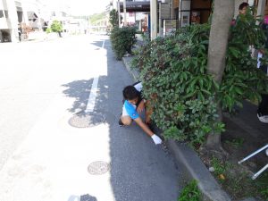 DSC00485