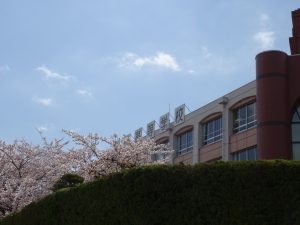 DSC03213